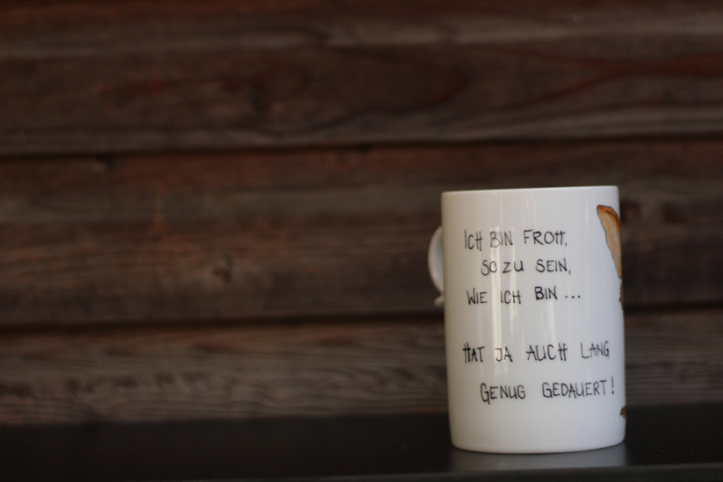 Tasse aus Porzellan handbemalt - Bern 6